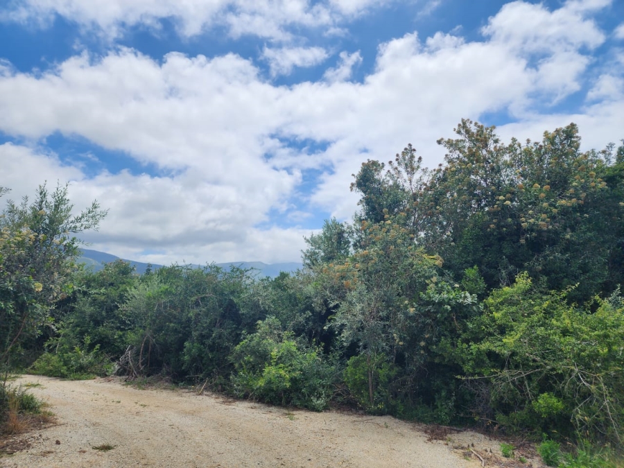 Commercial Property for Sale in Wilderness Heights Western Cape